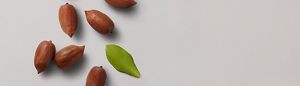 PRODUCT DETAIL INGREDIENTS - IPAD LANDSCAPE - 1024 X 292-Jojoba Beads